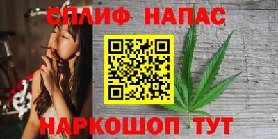 спиды Кингисепп