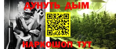 спиды Кингисепп