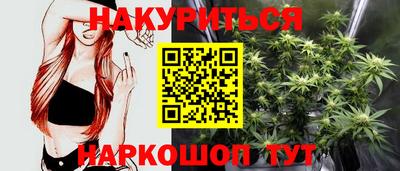 спиды Кингисепп