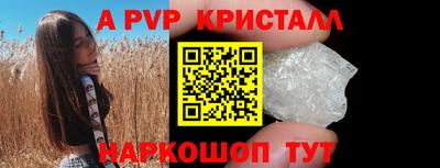 спиды Кингисепп
