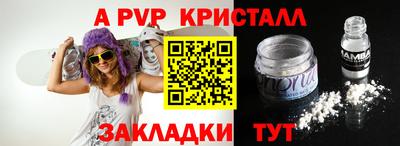 спиды Кингисепп
